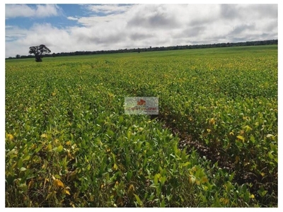 Fazenda-Sítio-Chácara, 2400 m² - Foto 1