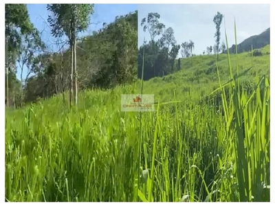 Fazenda-Sítio-Chácara, 3120 m² - Foto 3