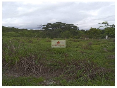 Fazenda-Sítio-Chácara, 70 m² - Foto 4