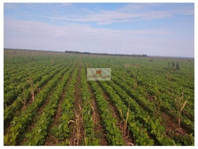 Fazenda-Sítio-Chácara, 2 hectares - Foto 1