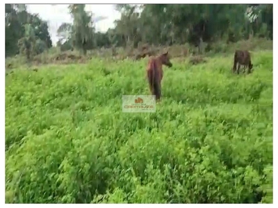 Fazenda-Sítio-Chácara, 726 m² - Foto 4