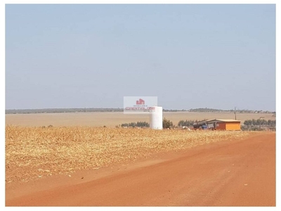 Fazenda-Sítio-Chácara, 2 hectares - Foto 5