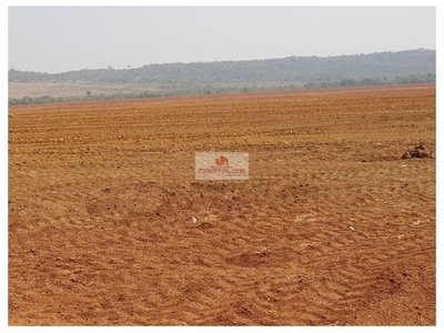 Fazenda-Sítio-Chácara, 2 hectares - Foto 2