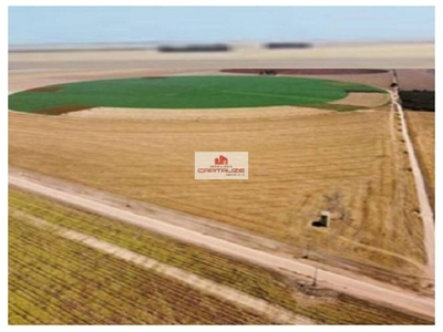 Fazenda-Sítio-Chácara, 3500 m² - Foto 2