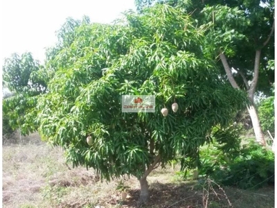 Casa, 5 m² - Foto 1