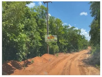 Fazenda-Sítio-Chácara, 10 m² - Foto 4