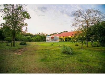 Casa, 4 quartos, 4 m² - Foto 5