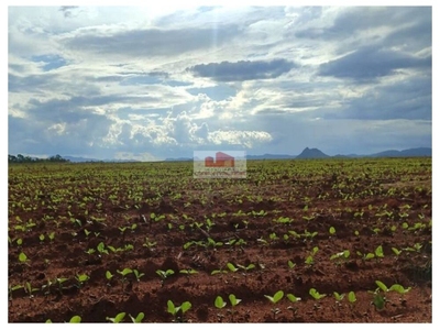 Fazenda, 3020 m² - Foto 4