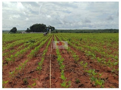 Fazenda, 3020 m² - Foto 2