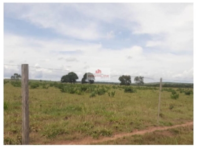 Fazenda, 2 hectares - Foto 5