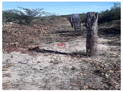 Fazenda-Sítio-Chácara, 2090 m² - Foto 4