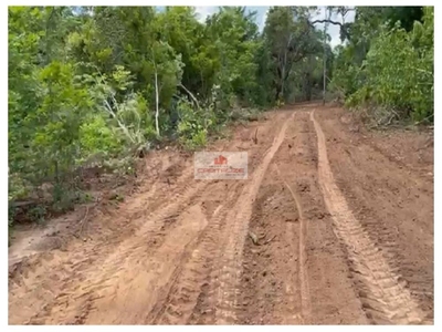 Fazenda-Sítio-Chácara, 10000 m² - Foto 4