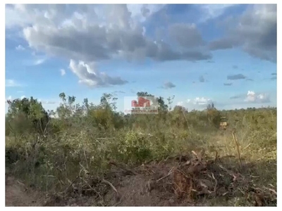 Fazenda-Sítio-Chácara, 2 hectares - Foto 1