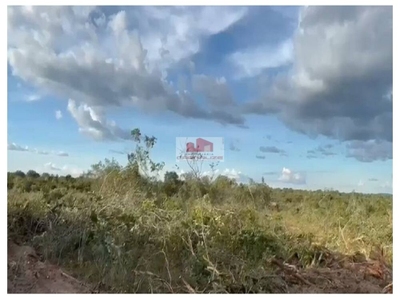 Fazenda-Sítio-Chácara, 2 hectares - Foto 3