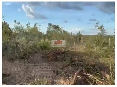 Fazenda-Sítio-Chácara, 2 hectares - Foto 4