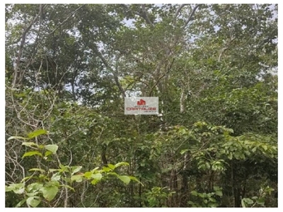 Fazenda, 1000 m² - Foto 1