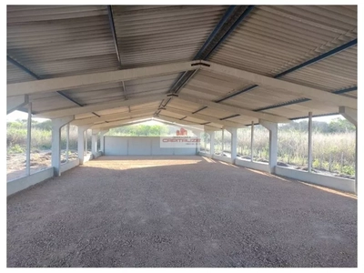 Fazenda-Sítio-Chácara, 15 m² - Foto 3