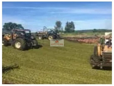 Fazenda-Sítio-Chácara, 2 hectares - Foto 4