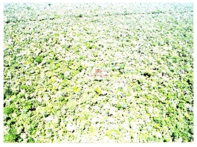 Fazenda-Sítio-Chácara, 9 hectares - Foto 3