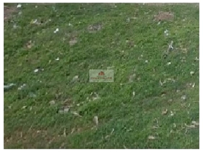 Depósito-Galpão, 10000 m² - Foto 1