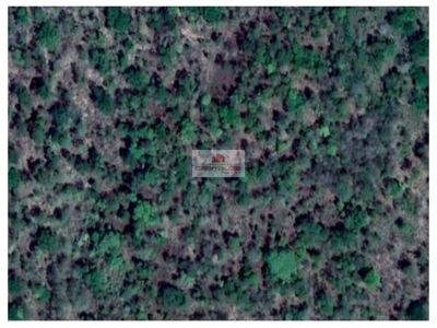 Fazenda-Sítio-Chácara, 9600 m² - Foto 2