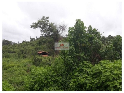 Depósito-Galpão, 2 m² - Foto 5