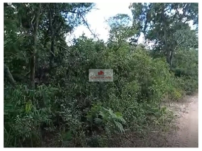 Fazenda-Sítio-Chácara, 4000 m² - Foto 2