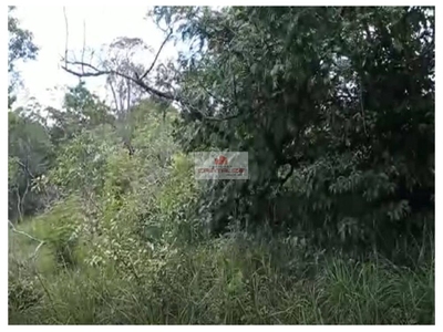 Fazenda-Sítio-Chácara, 4000 m² - Foto 3