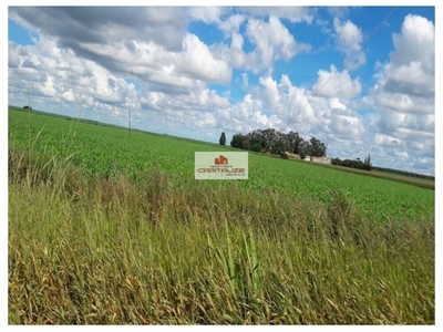 Fazenda-Sítio-Chácara, 44 hectares - Foto 1