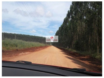 Fazenda-Sítio-Chácara, 44 hectares - Foto 4