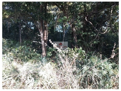 Depósito-Galpão, 3 m² - Foto 4