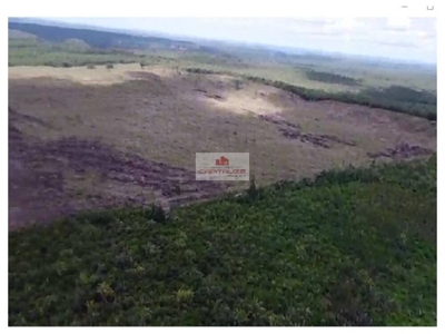 Fazenda-Sítio-Chácara, 233 m² - Foto 1