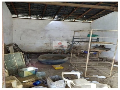 Depósito-Galpão, 480 m² - Foto 3