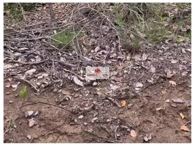 Fazenda-Sítio-Chácara, 1 hectares - Foto 4