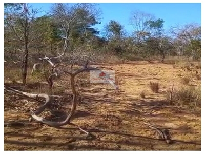 Fazenda-Sítio-Chácara, 10000 m² - Foto 3