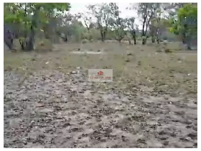 Fazenda-Sítio-Chácara, 3700 m² - Foto 4