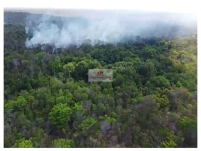 Fazenda-Sítio-Chácara, 959 m² - Foto 2