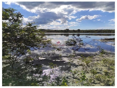 Fazenda, 1200 m² - Foto 5