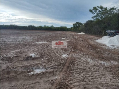 Fazenda-Sítio-Chácara, 550 m² - Foto 2