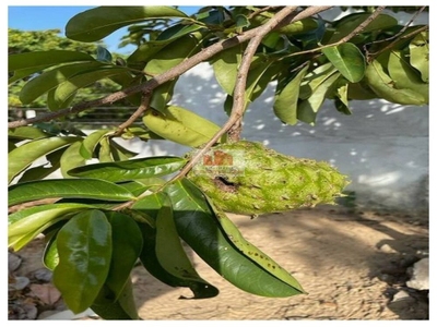 Fazenda-Sítio-Chácara, 535 m² - Foto 5