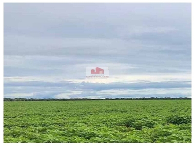 Fazenda-Sítio-Chácara, 2 hectares - Foto 1