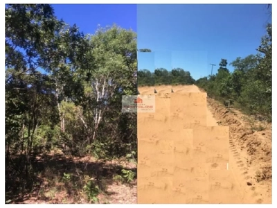 Fazenda-Sítio-Chácara, 4000 m² - Foto 4