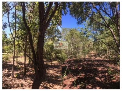 Fazenda-Sítio-Chácara, 4000 m² - Foto 1