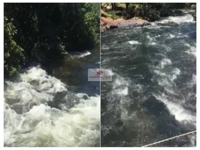 Fazenda-Sítio-Chácara, 4000 m² - Foto 3