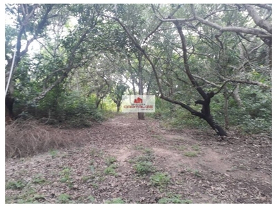 Casa, 5 quartos, 2 m² - Foto 5