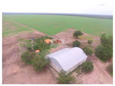 Fazenda, 3800 m² - Foto 2