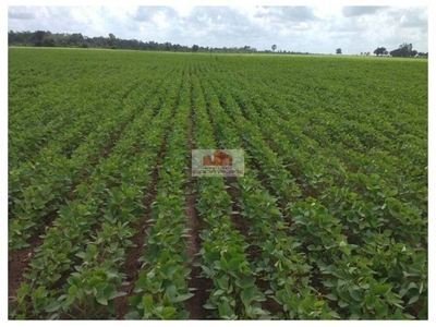 Fazenda, 3800 m² - Foto 3