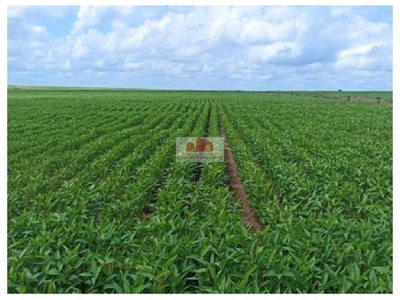 Fazenda, 3800 m² - Foto 1