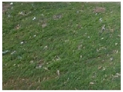 Depósito-Galpão, 2500 m² - Foto 4