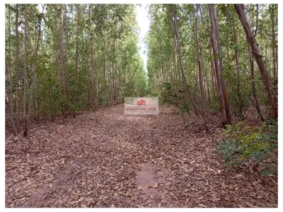 Fazenda-Sítio-Chácara, 2630 m² - Foto 1